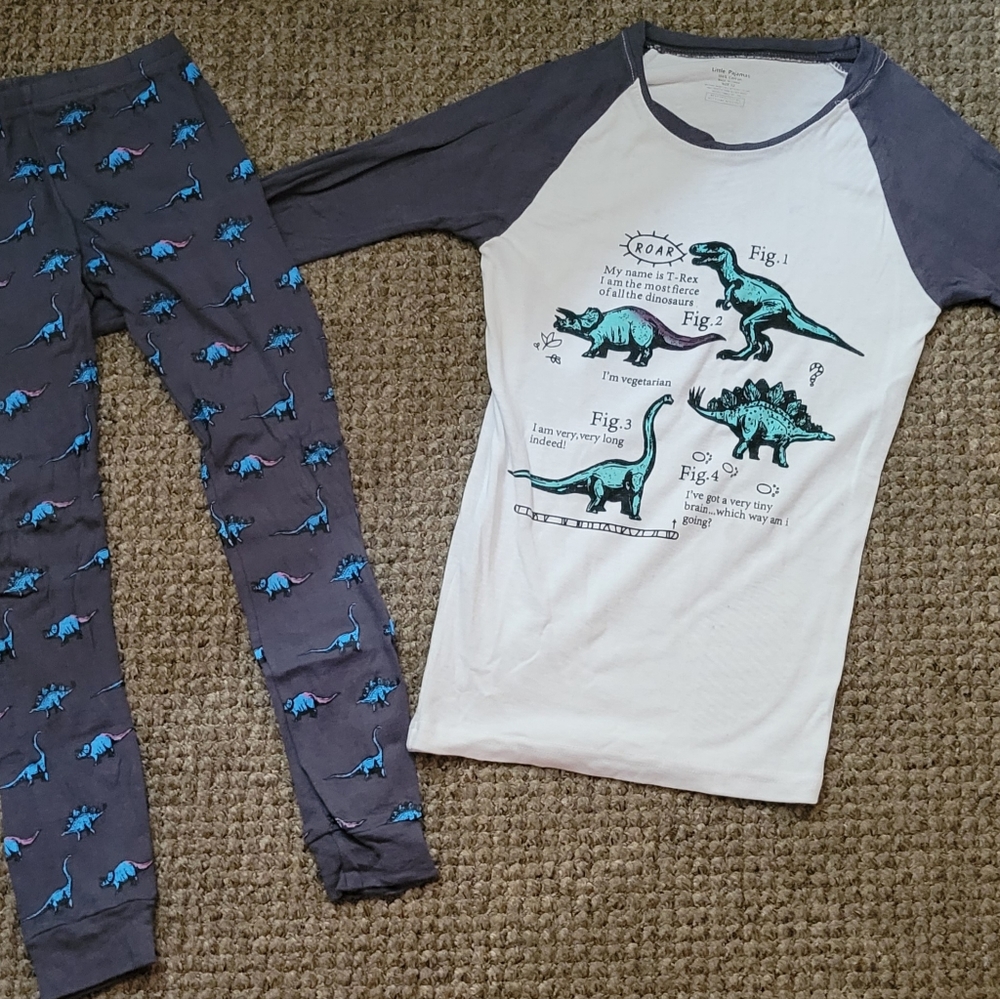 ☆•Boys Dinosaur Longsleeve Shirt and Pants Pj Set•Size:12•☆